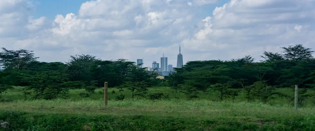 The Nairobi skyline seen across the acacia of Nairobi National Park.